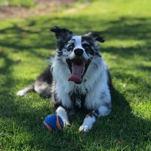 Meet your Posher, Tyler